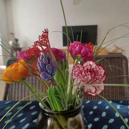 Feluca Apartament *