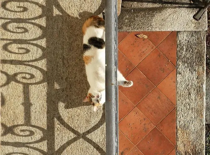 Appartamento Feluca Luino