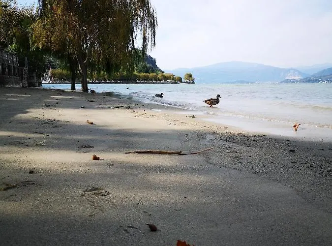 Feluca Appartamento *