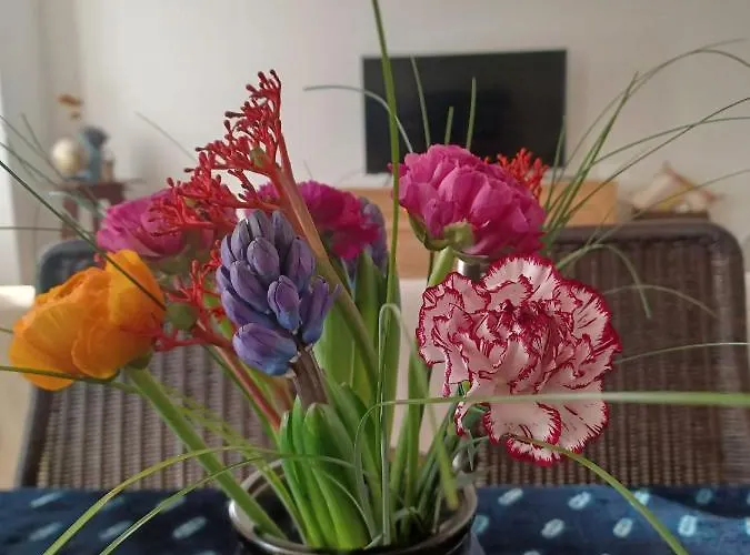 Feluca Appartamento *