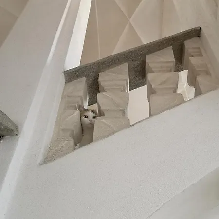 Feluca Apartament Luino