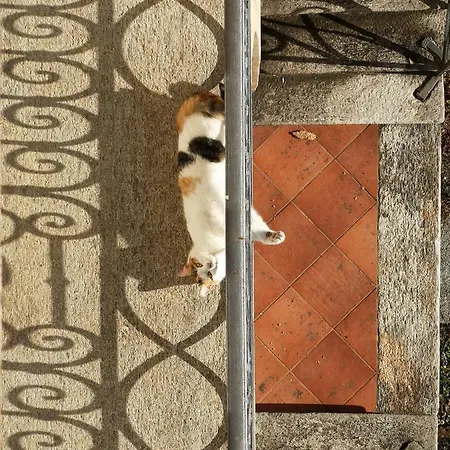 Apartament Feluca Luino