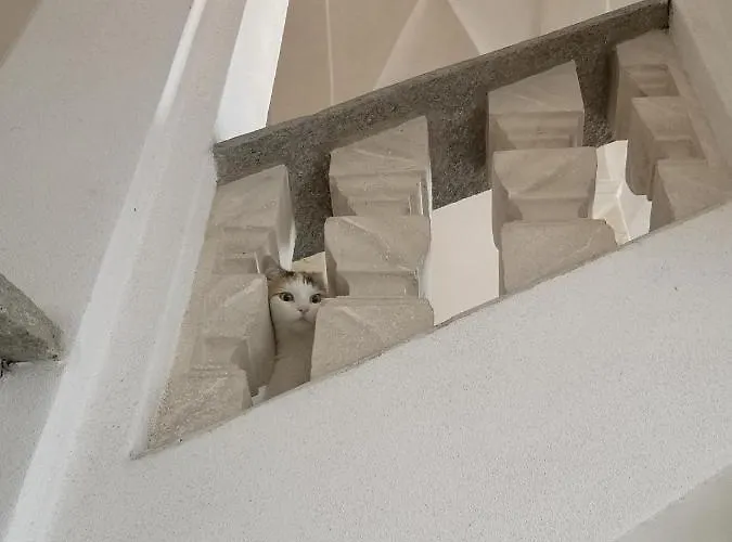 Feluca דירה לואינו